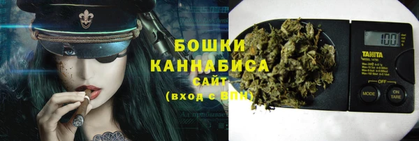сатива Бронницы