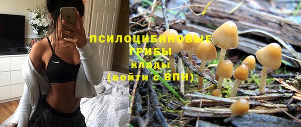 индика Бугульма
