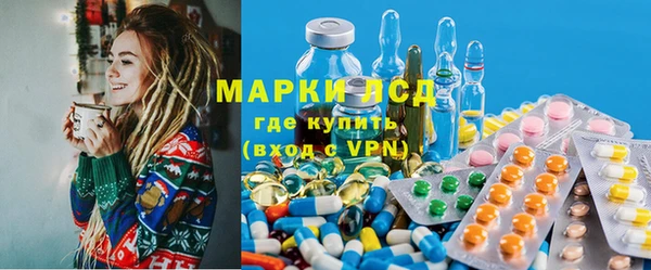 индика Бугульма