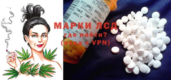 сатива Бронницы