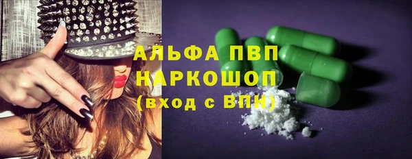 индика Бугульма