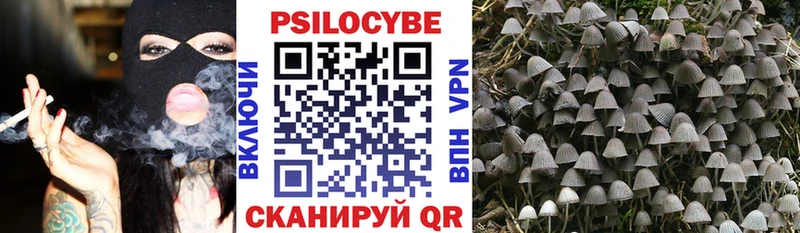 Псилоцибиновые грибы Magic Shrooms  Купить где  Заринск 